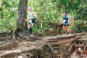 BIB: 
                            <button type="button" onclick="openModal(27717730)" class="btn btn-primary btn-sm float-right btn-popup" data-toggle="modal" data-target=".modal-high-quality">
                        <i class="fas fa-shopping-cart"></i> Add to Cart
                    </button>
                                            <button type="button" onclick="isThisMe(27717730, true)" class="btn btn-success btn-sm float-right btn-popup btn-isme hidden" data-toggle="tooltip" data-placement="bottom" title="นี่คือรูปของคุณใช่ไหม คลิกที่นี่เพื่อเอาเข้าอัลบั้ม">
                        <i class="fas fa-plus"></i> Add to album
                    </button>
                    <button type="button" onclick="isThisMe(27717730, false)" class="btn btn-warning btn-sm float-right btn-popup btn-isnotme hidden">
                        <i class="fas fa-ban"></i> Remove from album
                    </button>